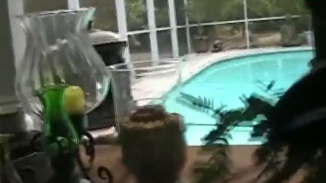 BONSAI9723 BONSAI THE NEW EASY METHODiSweet Acacia- 195