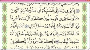 Шейх Айман Сувейд сура  Аль Анфаль стр 178