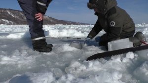 Ловля Колючего краба на булавку. (о.Сахалин)