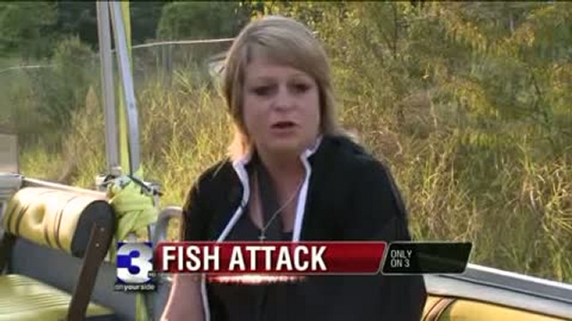 Une femme se fait attaquer par des poissons volants смотреть онлайн