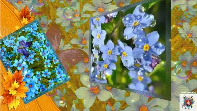 Денис Стальнов Полевые незабудки 2019 !!! смотреть онлайн