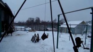 Лебедка на треноге//Подъем грузов//Забой животных//Сельское подворье//Россия//