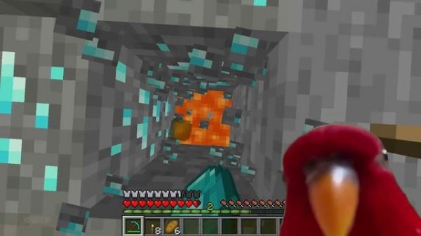 red bird - meme compilation