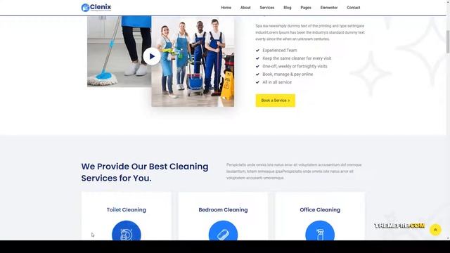 Clenix - Cleaning Services WordPress Theme cleaning Cleaning Service Ayano смотреть онлайн