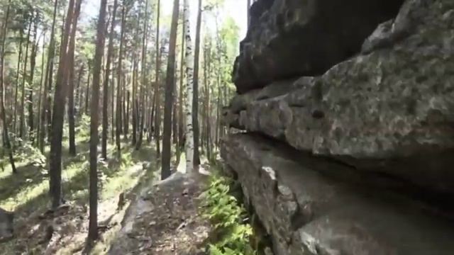 Малый круг 1,5 километра. Золотая тропа! смотреть онлайн