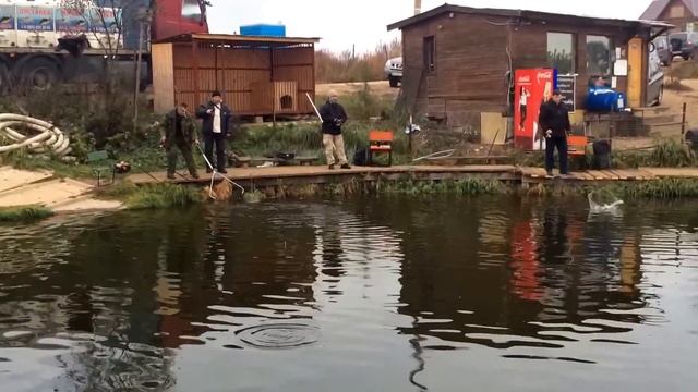 Рыбалка в Савельево 17 10 2015 смотреть онлайн