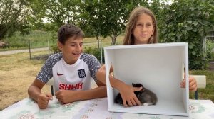 УГАДАЙ ЖИВОТНОЕ В КОРОБКЕ ЧЕЛЛЕНДЖ! ЧТО В КОРОБКЕ?