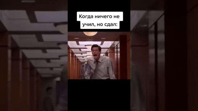 Труд, мир, жвачка |#вайн