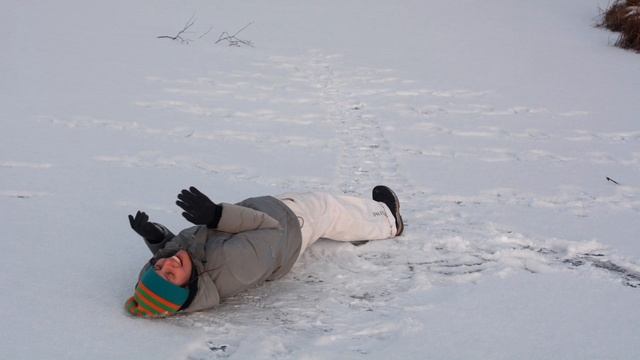 Новогодние тюлени смотреть онлайн