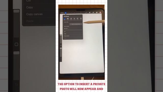 How to hide your reference layer in Procreate . #procreate #reference смотреть онлайн
