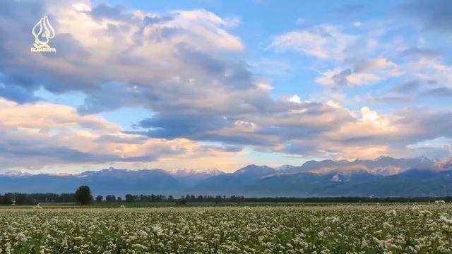 СУРА "ИХЛАС" ОТ МУЧЕНИЙ В МОГИЛЕ. смотреть онлайн