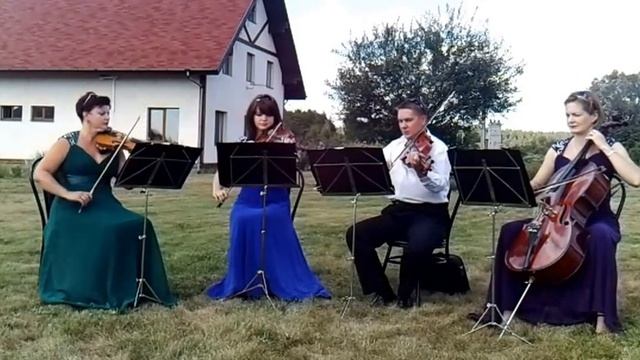 Н.Ротта "Итальянская свадебная тарантелла" из к\ф "Крестный отец" смотреть онлайн