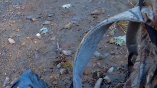 Отдых на р.Тахало ( 2018 ) смотреть онлайн