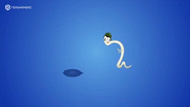 Гельмимакс