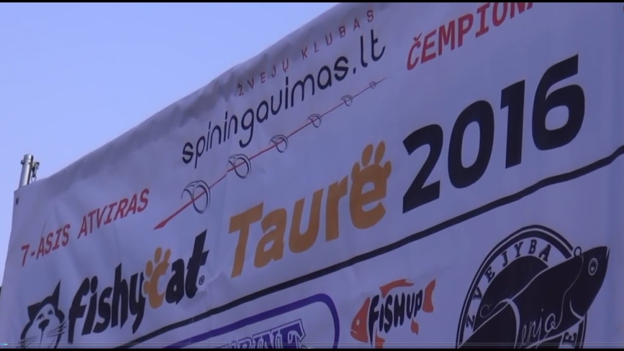 Fishycat Taurė 2016