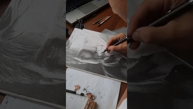 Drawing Tom Cruise|Портрет Тома Круза|Tom Kruzni portreti|Timelapse.Hyperrealism|Гипперреализми. смотреть онлайн