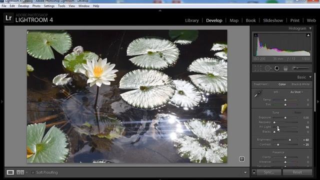 Lightroom обработка фотографий для блога смотреть онлайн