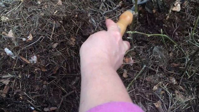 Удобрение Для Магнолии смотреть онлайн