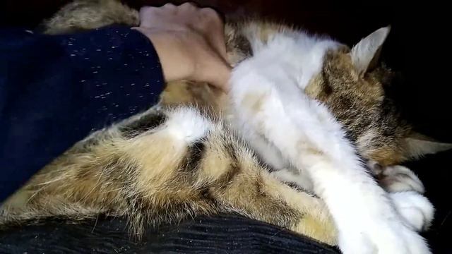 Рождественский сон смотреть онлайн