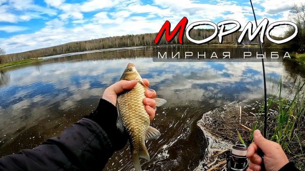 Спиннинговая ловля мирной рыбы. Ловится всё и в зачётных размерах. Мормышинг Наноджиг Ультралайт