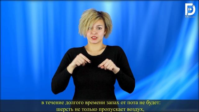 Чем полезна шерсть кашемира,верблюда и яка? смотреть онлайн