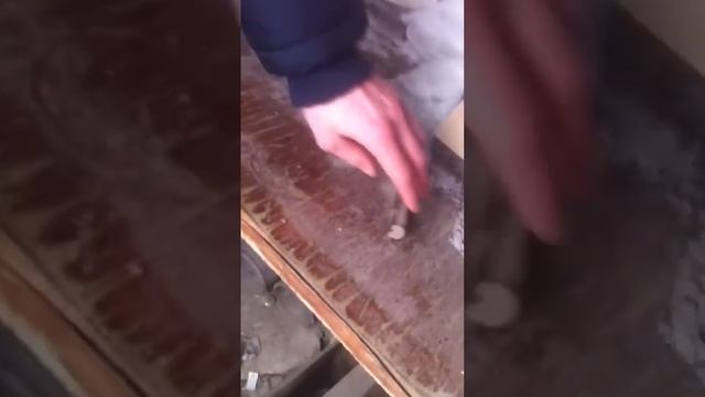 Видео урок как разобрать LG B2050 Fm Radio смотреть онлайн