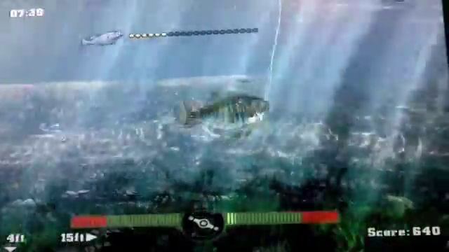 Rapala Fishing Frenzy 2009
