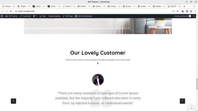 Professional Design eCommerce Website | Multipurpose Elementor WooCommerce WordPress Theme | Emerce смотреть онлайн
