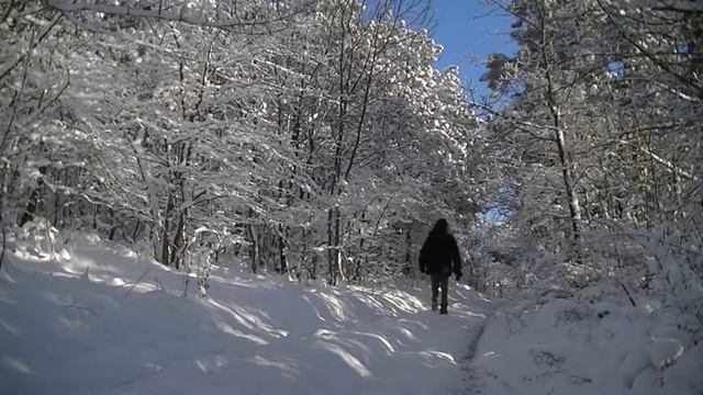 Кленовый лист. Николай Караченцов. смотреть онлайн