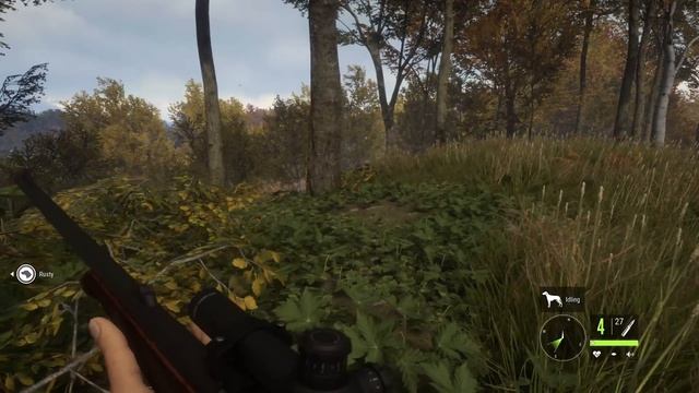 theHunter COTW || Nov 2021 || Hunt #2 смотреть онлайн
