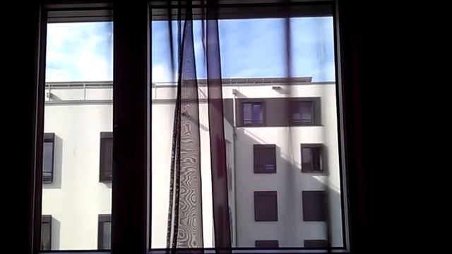 Птица стучит в окно 2 смотреть онлайн