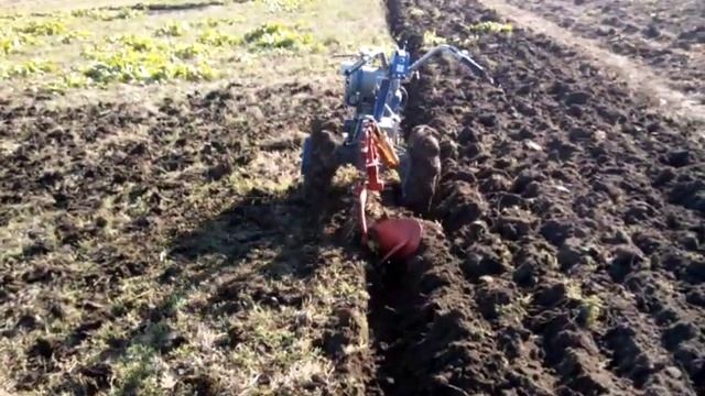 Мотоблок Моторсич МБ-4,05 , вспашка плугом ПН-2 . смотреть онлайн