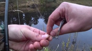 МАНИТ меня это МЕСТО!!! Ловля Налима Осенью на Донки! Река, костёр, донка- КРАСОТА!!!