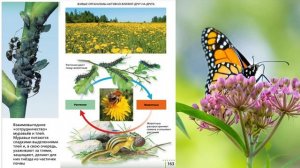 §24 "Среда обитания. Экологические факторы", Биология 6 класс, Сивоглазов
