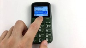 Кнопочный телефон BQ 1851 Respect (бабушкофон)