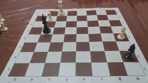 Эндшпиль. Однопольные слоны.