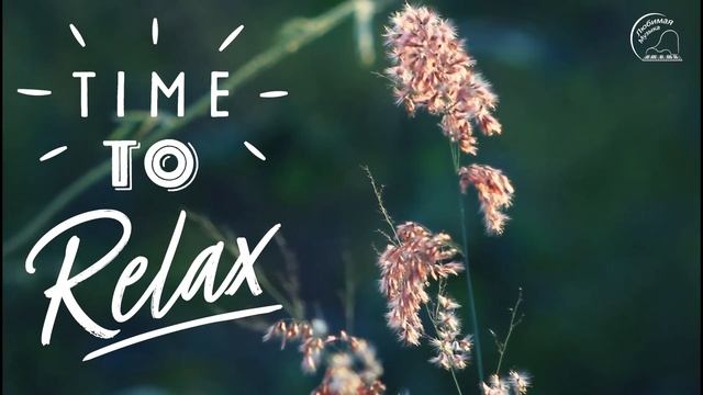 Нежный шум дождя без грома для сна и учебы - 3 часа релакса в лесу смотреть онлайн