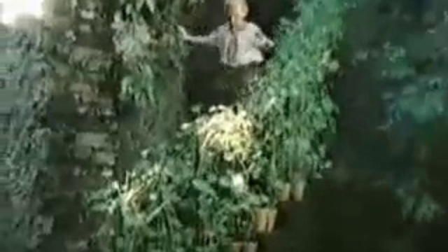 Дождя не боимся! смотреть онлайн