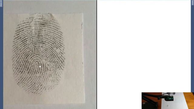 FCS Live Capture with a Live Feed Video Camera смотреть онлайн