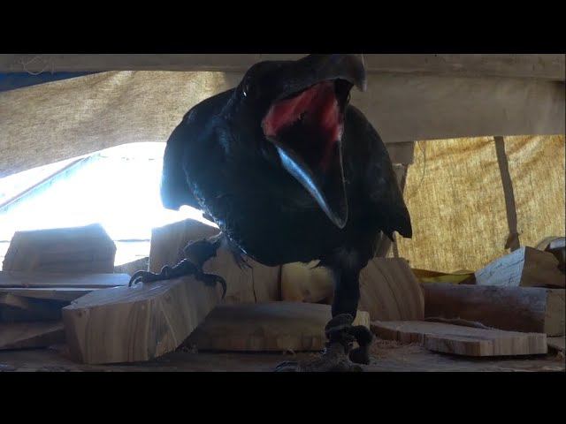 По ходу перемен. смотреть онлайн