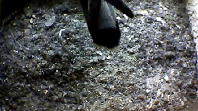 From Internet Camera(Turmfalken[03:1A:A5])2014/07/07,15:29:46_D смотреть онлайн