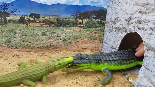 Битва крокодилов смотреть онлайн