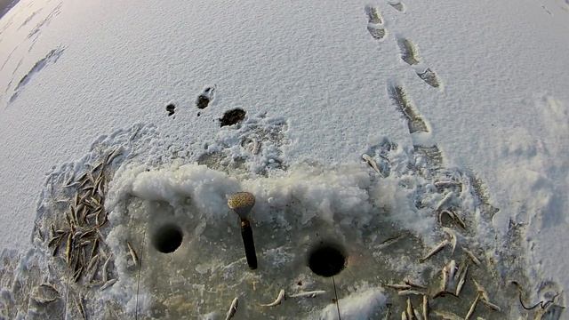 Ловим корюшку и навагу.Сезон 2020г.Охота и рыбалка на Дальнем Востоке. смотреть онлайн