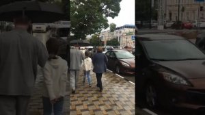 Дождик ☔️ я иду по лужам 🐾💃💃💃