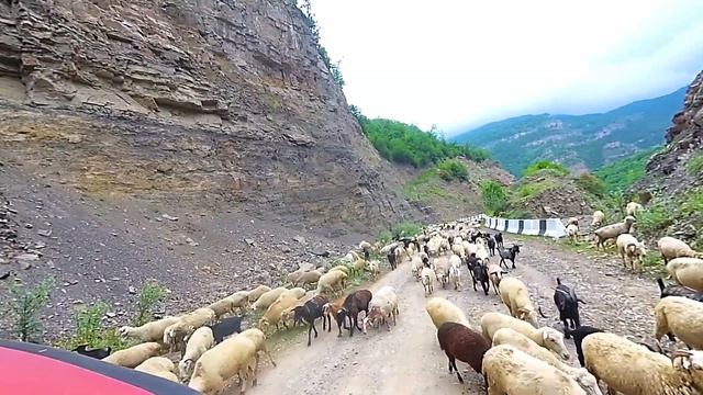 В Дагестан на машине #6 Кубачи Инчхе Мекеги Хучнинский водопад Хучнинская крепость #vanlife смотреть онлайн