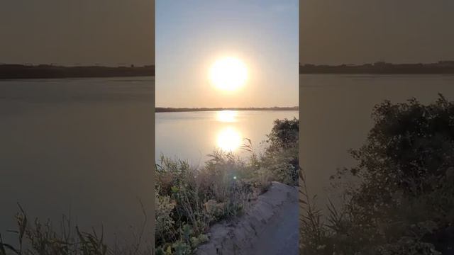 Коса Долгая | Азовское море | БАО Сёрфприют | Станица Должанская | Ейский район | Природа Кубани смотреть онлайн