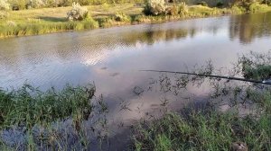 Пробная рыбалка на Терновке