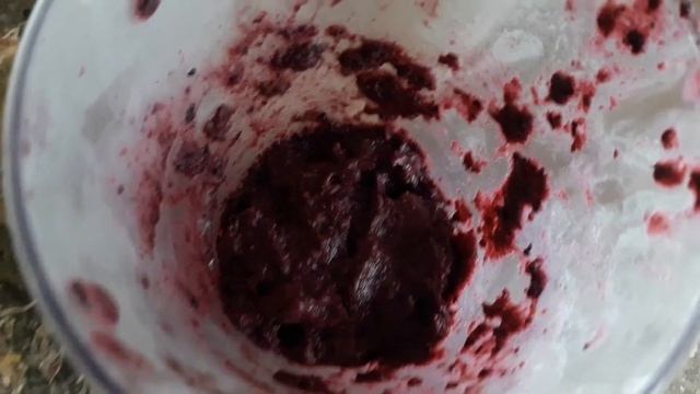 ПП МОРОЖЕНОЕ БЕЗ САХАРА С ЯГОДАМИ-САМЫЙ ПРОСТОЙ РЕЦЕПТ❤КАК ПРИГОТОВИТЬ НИЗКОКАЛОРИЙНОЕ МОРОЖЕНОЕ❤ смотреть онлайн