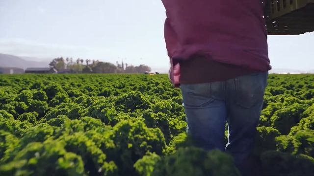 Garden of Life - Say Yes to Clean Vitamins and Supplements смотреть онлайн