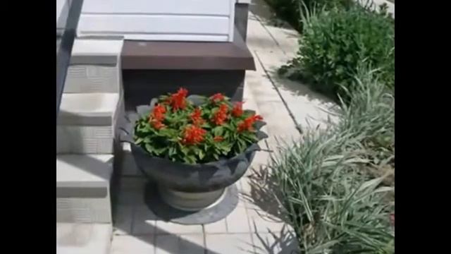 Поделки- клумбы из покрышек смотреть онлайн